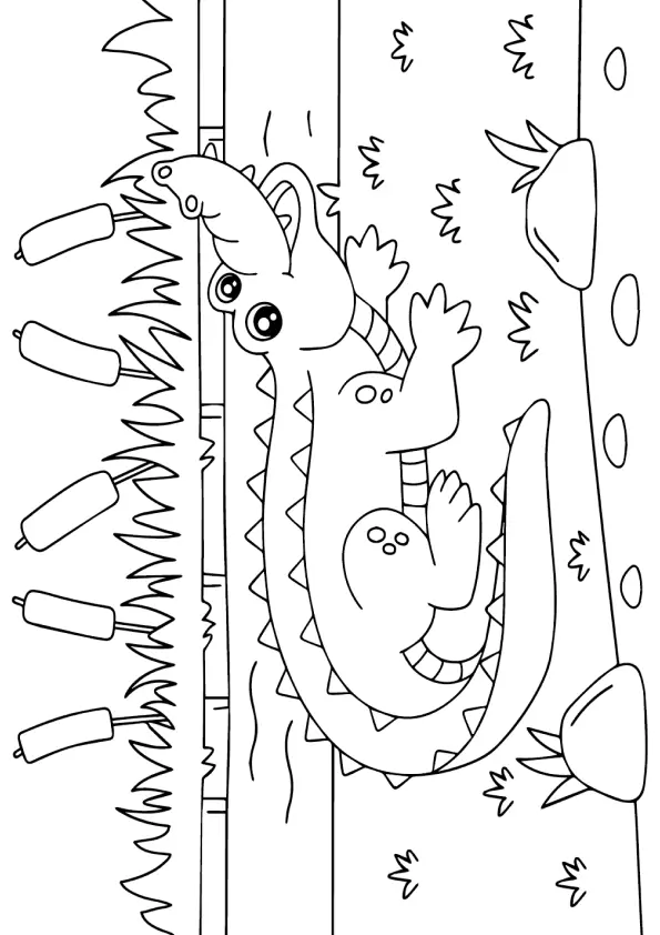 Desenho de Jacaré Bebê Feliz no Pântano para Colorir