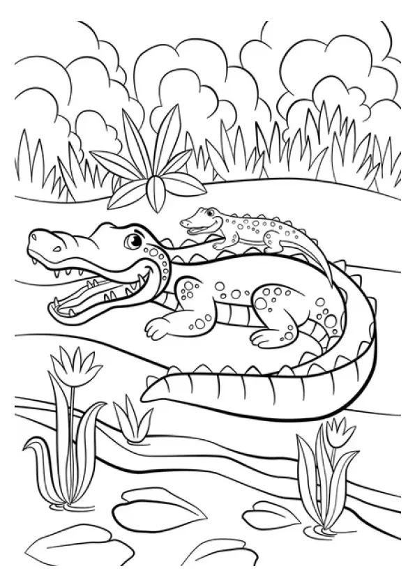 Desenho de Jacaré Mãe e Filhote no Pântano